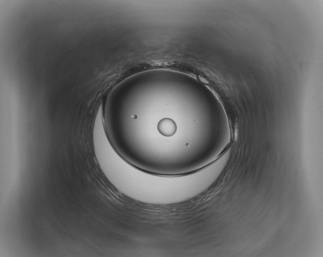 X0000113081444200908281214