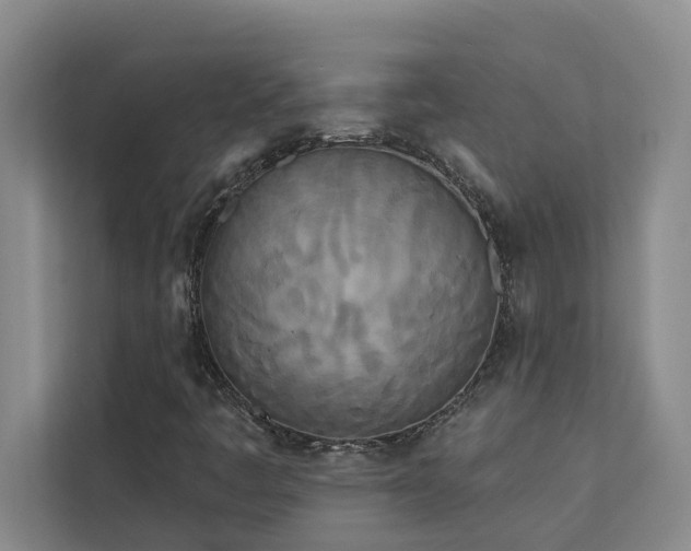 X0000113081445200908281214