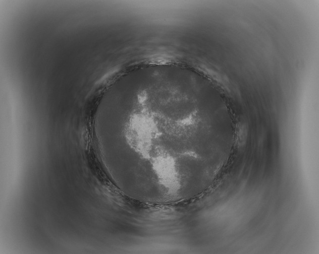X0000113081446200908281213