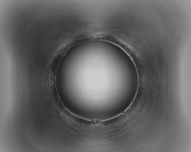 X0000113081447200908281213