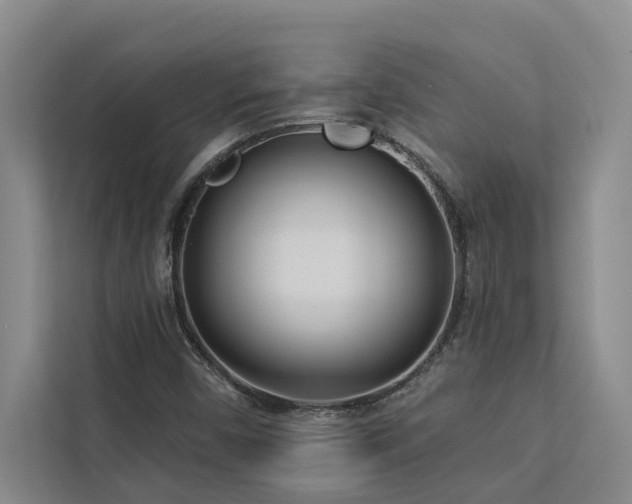 X0000113081450200908281213