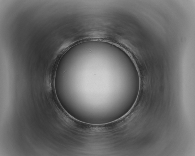 X0000113081451200908281213