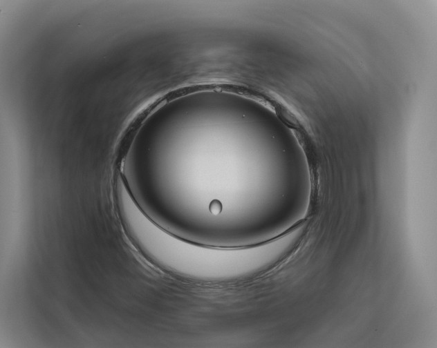 X0000113081452200908281213
