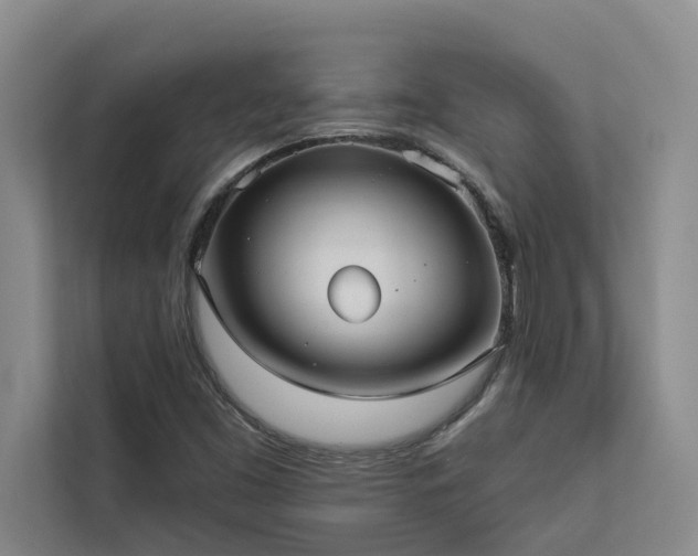 X0000113081453200908281213