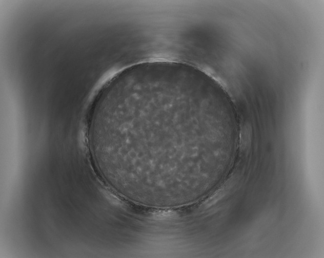 X0000113081454200908281213