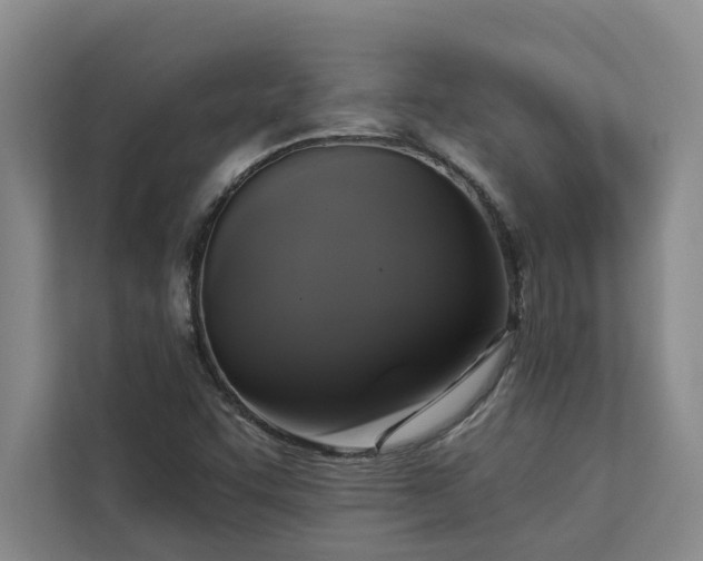 X0000113081455200908281213
