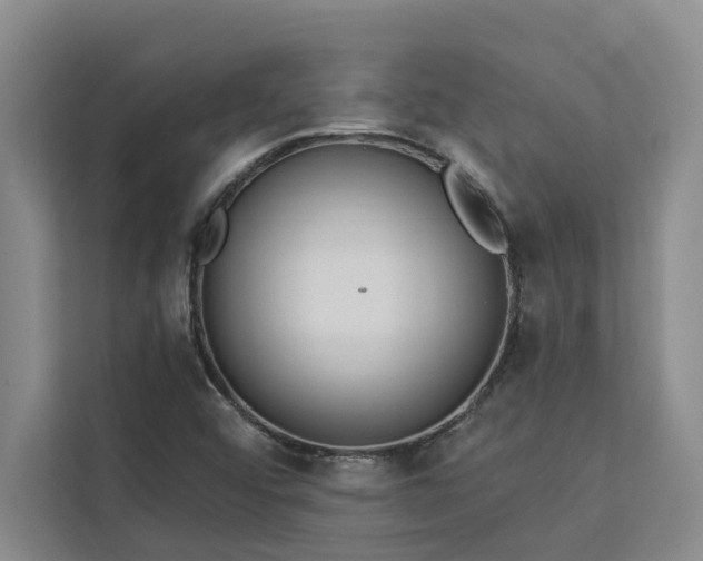 X0000113081456200908281213