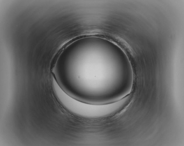 X0000113081457200908281213