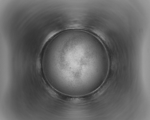 X0000113081458200908281213