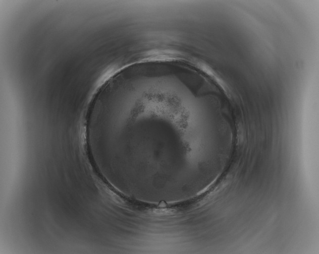 X0000113081459200908281213
