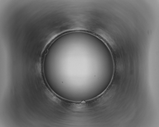 X0000113081460200908281213