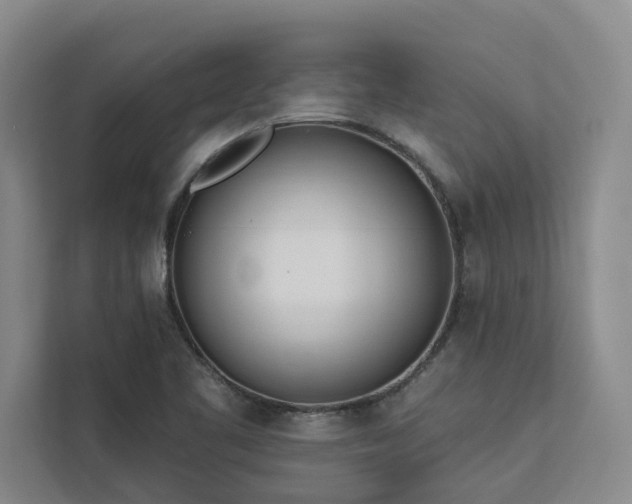 X0000113081461200908281213