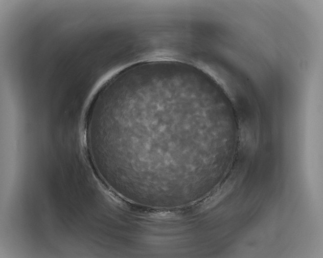X0000113081462200908281213