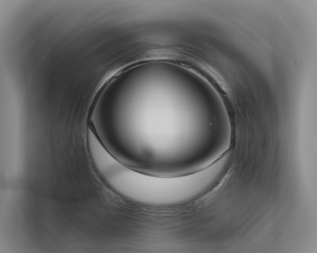 X0000113081465200908281213