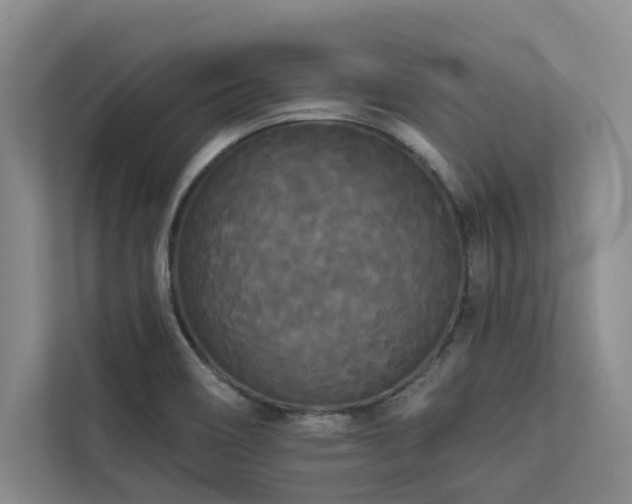 X0000113081466200908281213