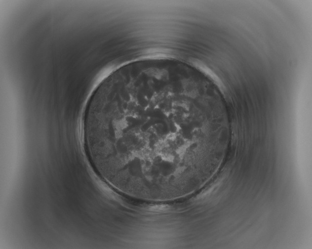 X0000113081467200908281213
