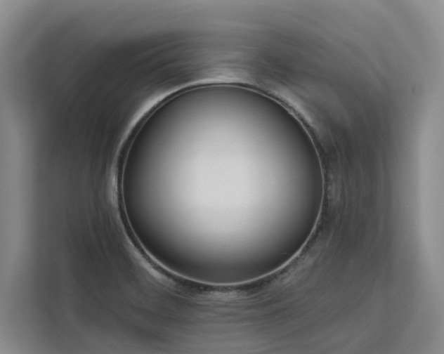 X0000113081468200908281213