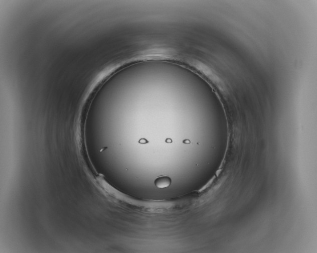 X0000113081469200908281213