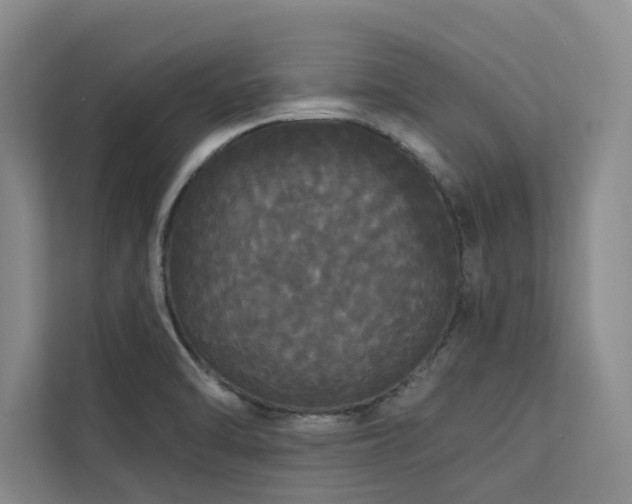 X0000113081470200908281213