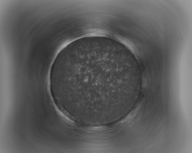 X0000113081471200908281213