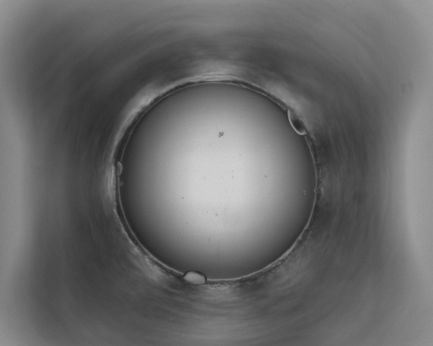 X0000113081472200908281213