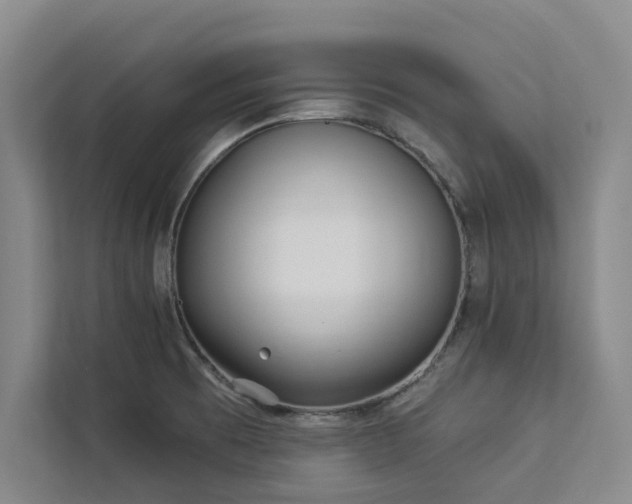 X0000113081473200908281213