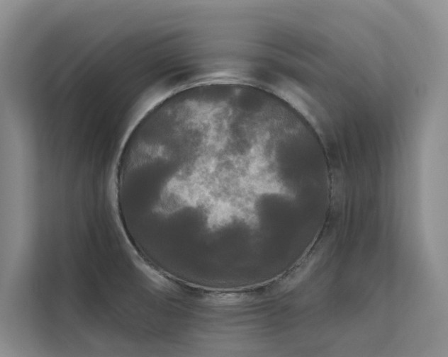 X0000113081474200908281213