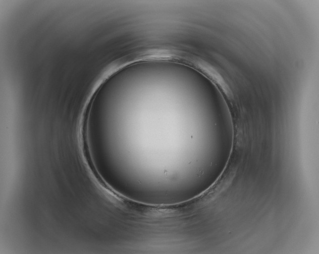 X0000113081475200908281213
