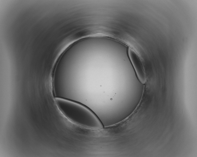 X0000113081476200908281213