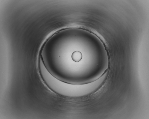 X0000113081477200908281213