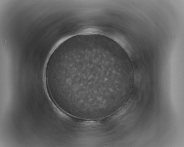 X0000113081478200908281213