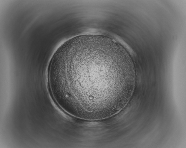 X0000113081479200908281213