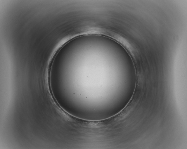 X0000113081480200908281213