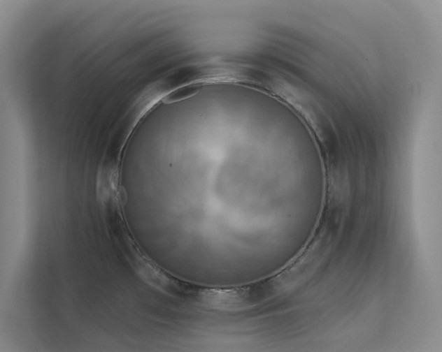 X0000113081481200908281213