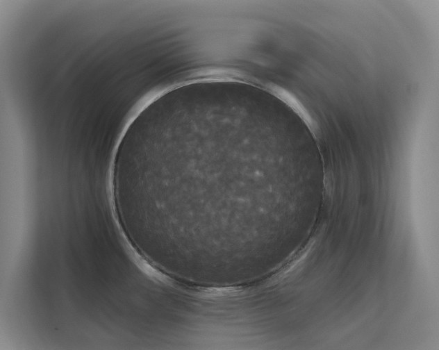 X0000113081482200908281213