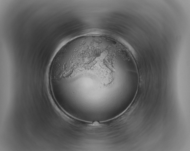 X0000113081483200908281213