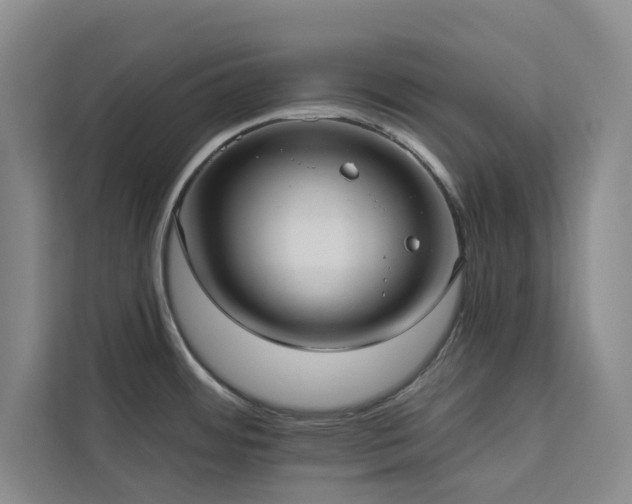 X0000113081484200908281213