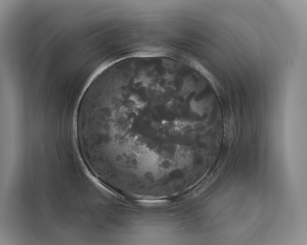 X0000113081487200908281213
