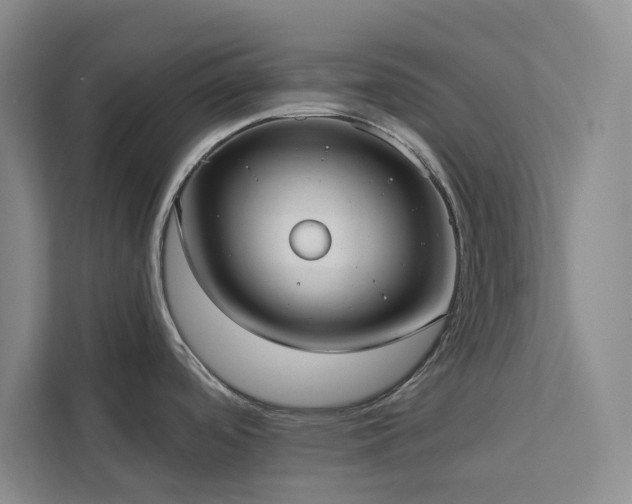 X0000113081488200908281213