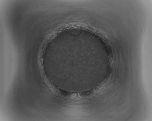 X0000113081489200908281212