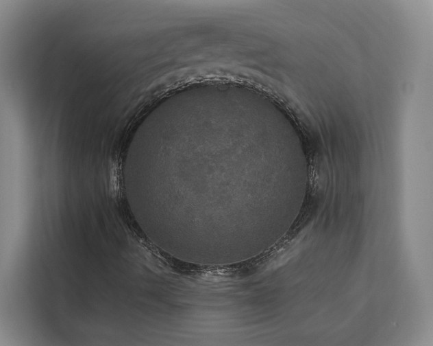 X0000113081490200908281212