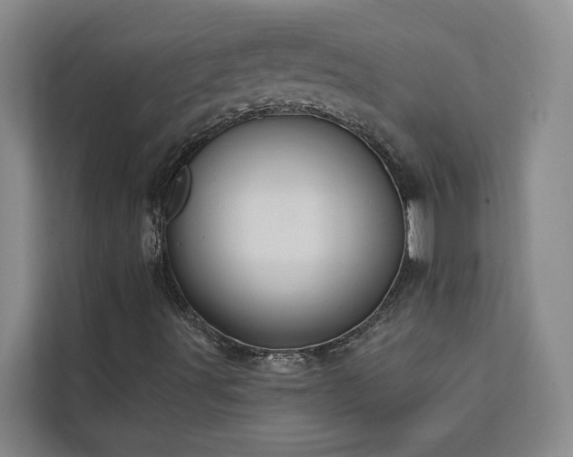 X0000113081491200908281212