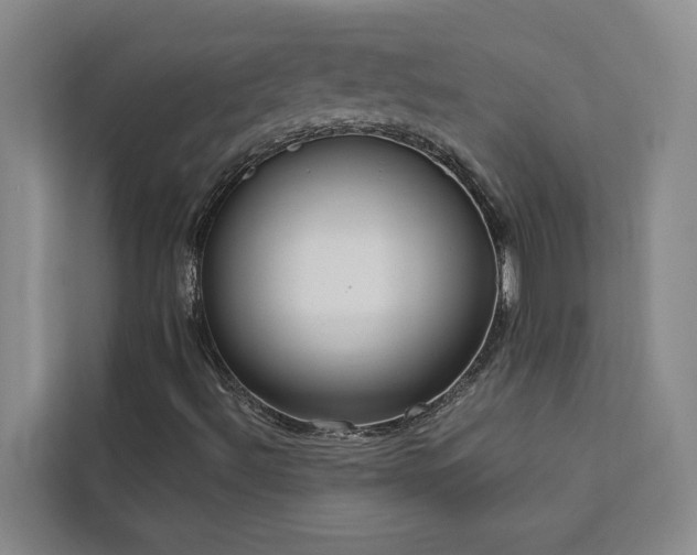 X0000113081492200908281212