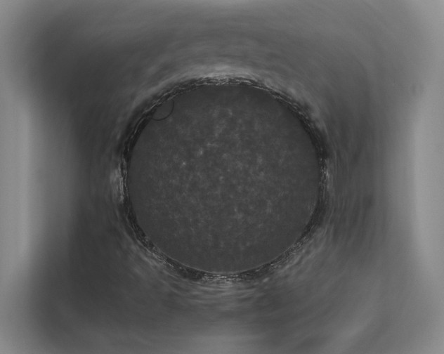 X0000113081493200908281212