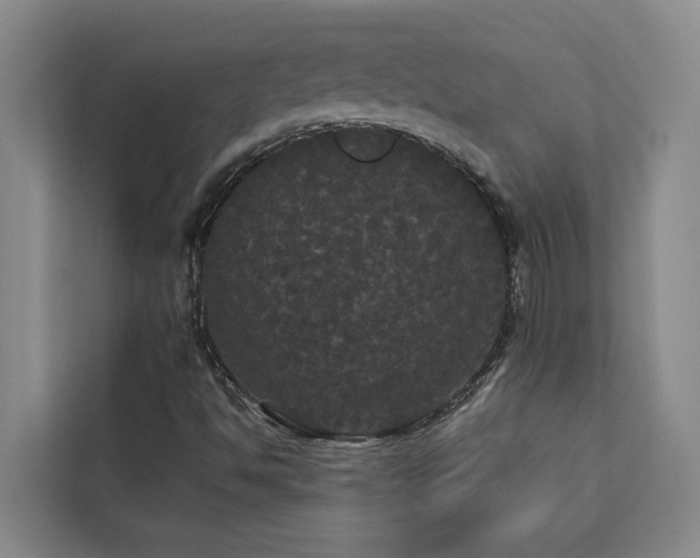 X0000113081494200908281212