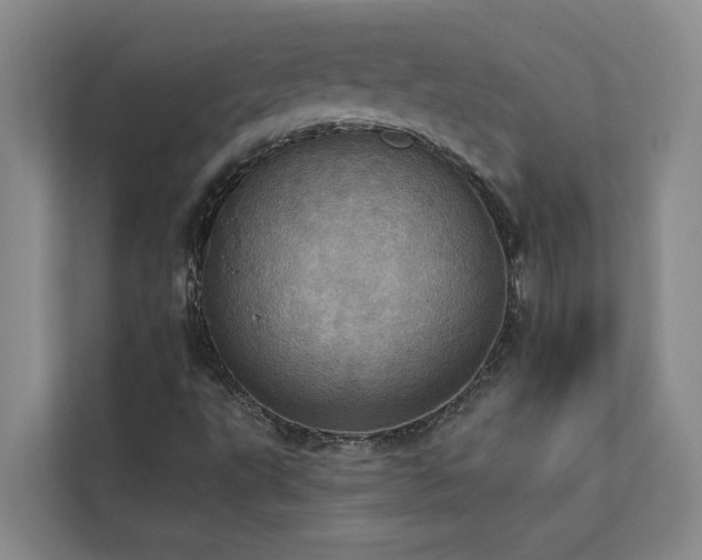 X0000113081495200908281212