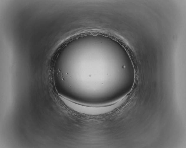 X0000113081496200908281212