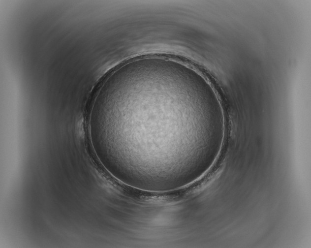 X0000113081497200908281212