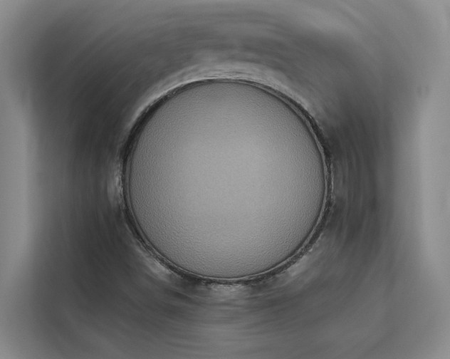 X0000113081498200908281212