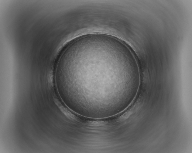 X0000113081499200908281212